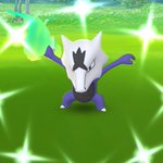 ポケモンgoで アローラガラガラ が話題に ポケgo トレンディソーシャルゲームス ポケモンgoで アローラガラガラ が話題に ポケgo トレンディソーシャルゲームス