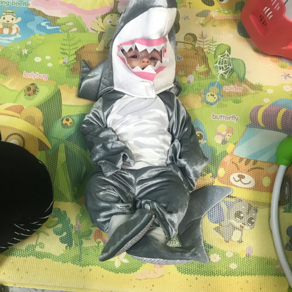 ClassWithMissW's tweet image. We didn’t get to see our #BuzzWorthy students in their costumes, so the cutest baby shark will have to do. 💙 🦈💙