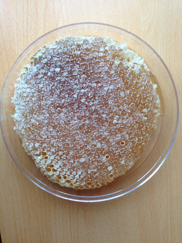 Macahel Karakovan Balı
macahel.com.tr