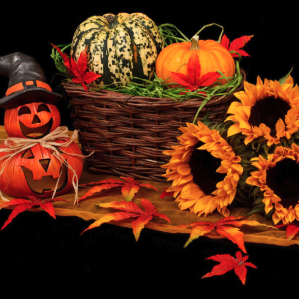 Happy Halloween! 

#halloween #spooky #pumpkins #fall #covid19