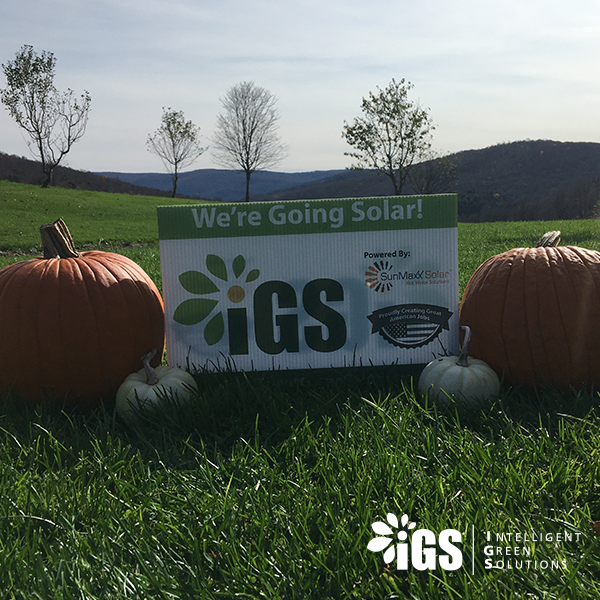 igsithaca's tweet photo. 👻Happy Halloween🎃

#halloween #halloween2020 #pumpkin #pumpkinseason #fall #autumn #solar #gogreen #gosolar #renewables #SunMaxx #IGS https://t.co/q9NSy1Tzss