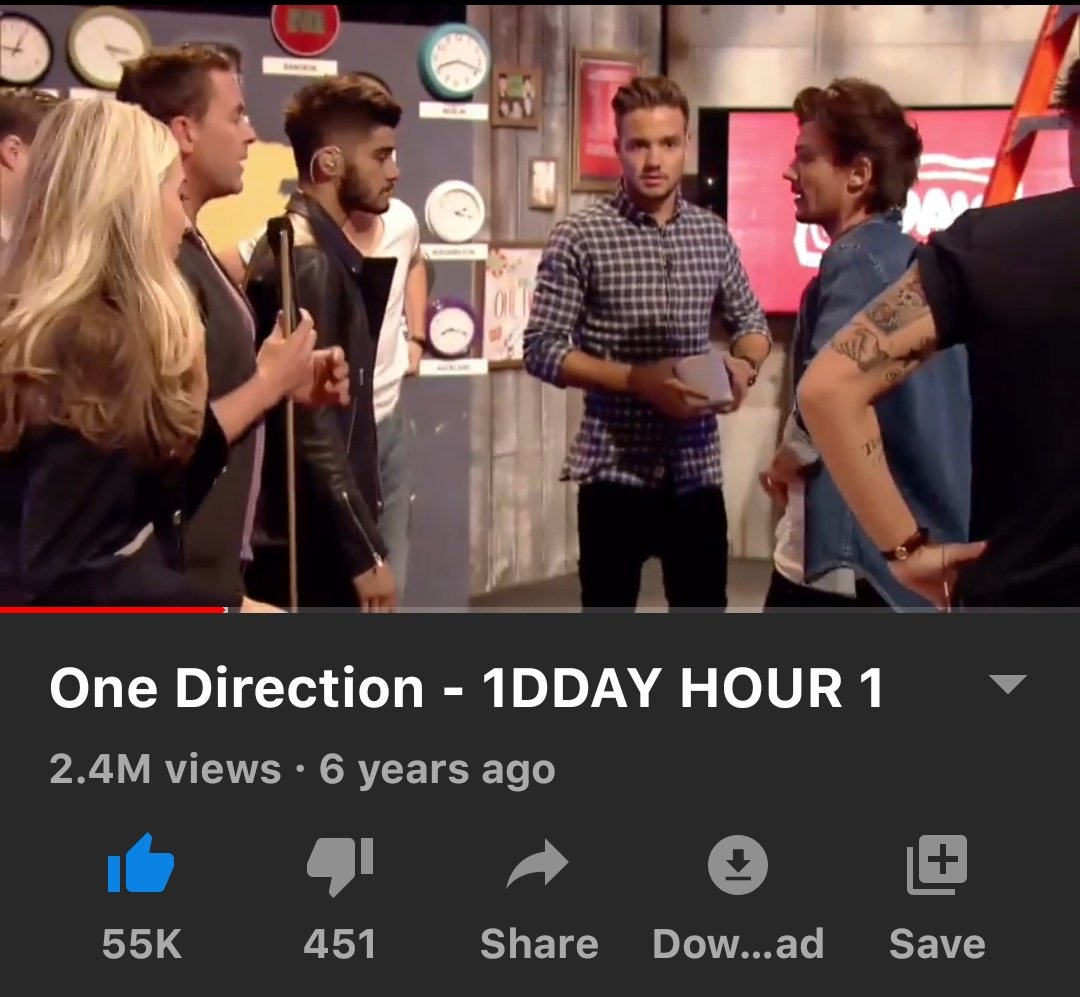 video diaries or 1d day