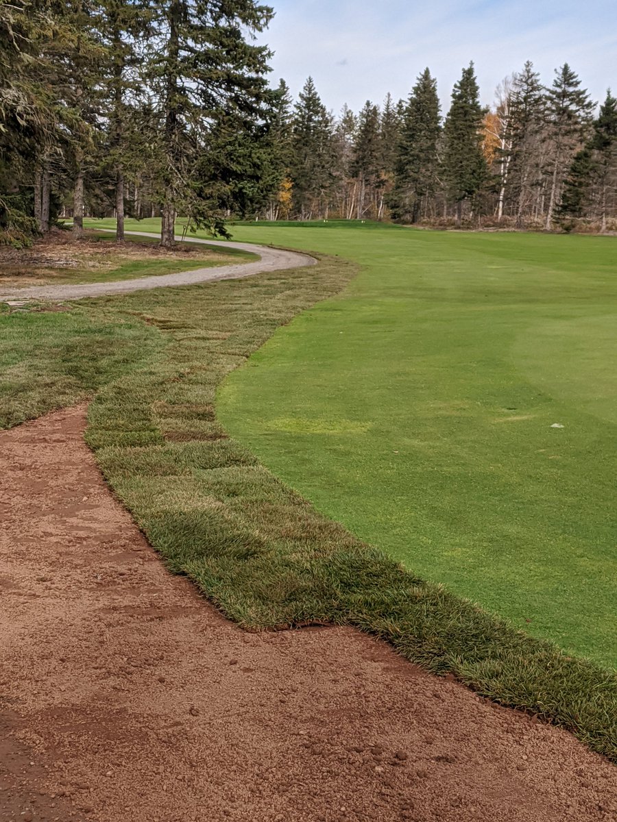 Conditions have been perfect for repairing high traffic areas near green sites this fall.