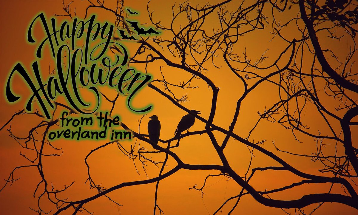 BWPOverlandInn's tweet photo. Happy Halloween to our community of Fort Morgan, Colorado and all of our guests! 
¨¨
We hope to see your costumes on our 4th Annual Ghouls and Goblins Costume Contest! Head over to our Event Page and submit your costume for fun prizes! https://t.co/wqbKD1WxHf