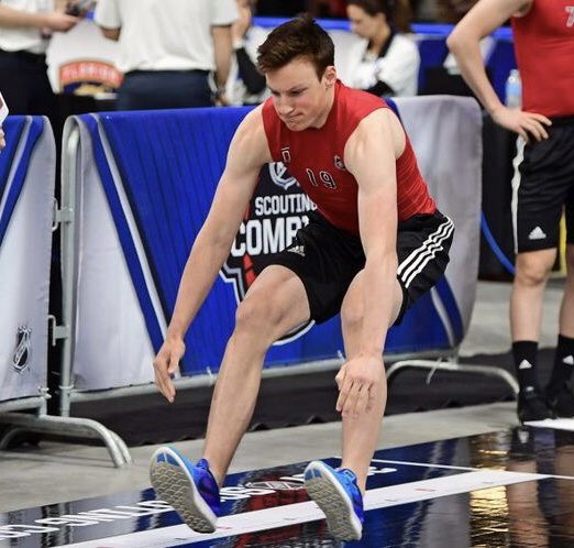 day 83 of nhlers as cute animals: our little lettuce  had his birthday very recently 