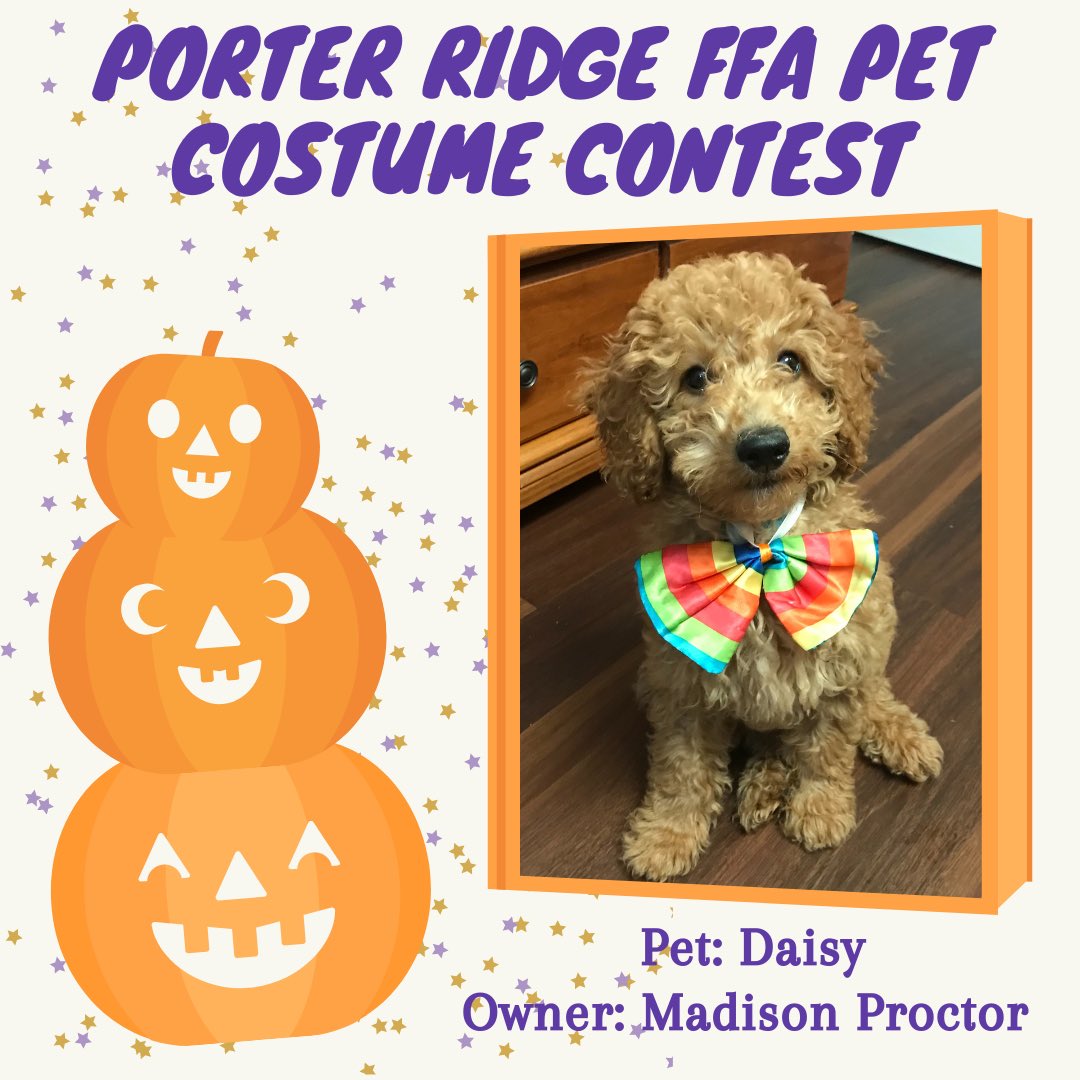PorterRidgeFFA's tweet photo. Oops! 👻 We forgot to post our last round of pictures yesterday!! What better day than today to share them! Happy Halloween!! 🎃 @PRHSCareer @PorterRidgeHSNC https://t.co/y7y5YULag1