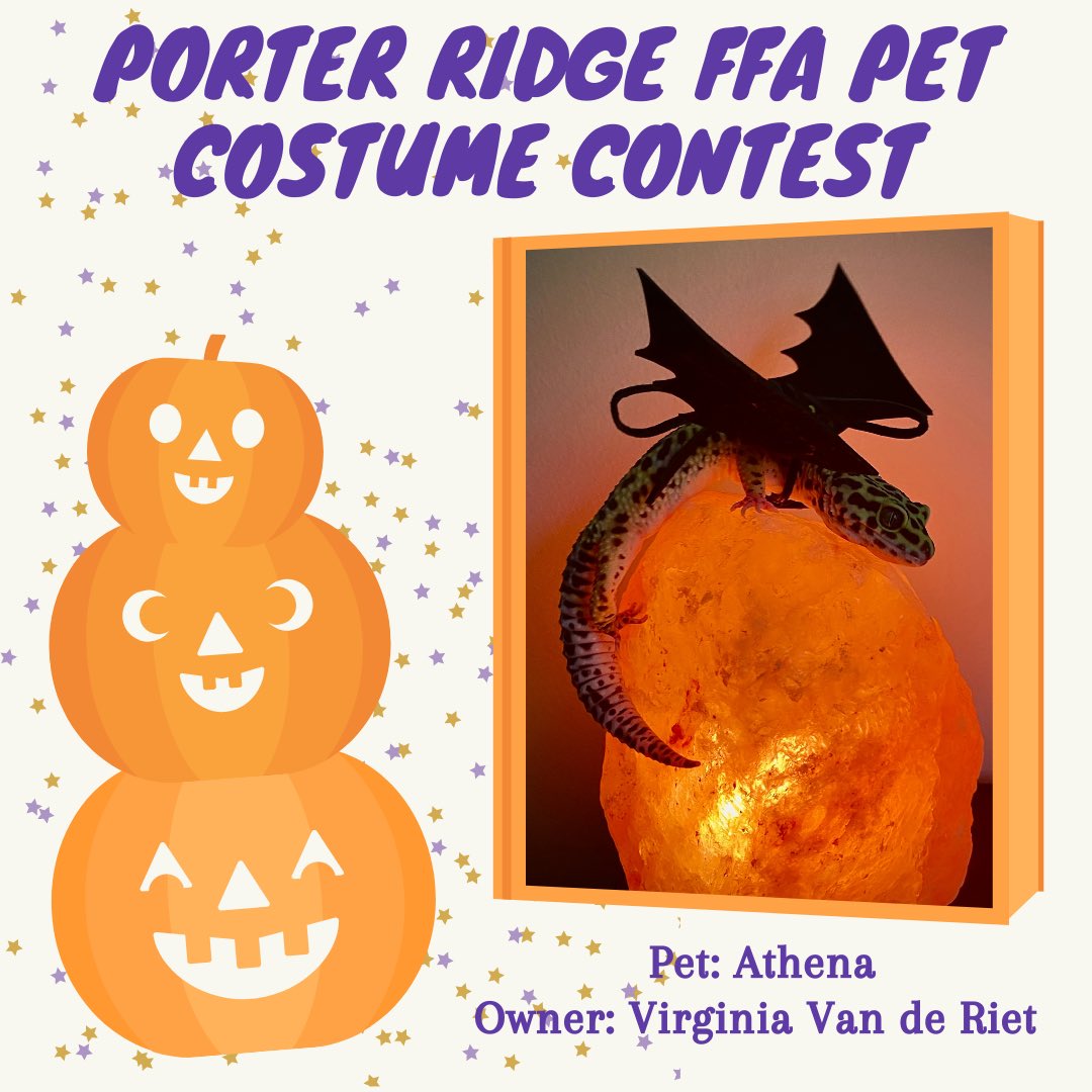PorterRidgeFFA's tweet photo. Oops! 👻 We forgot to post our last round of pictures yesterday!! What better day than today to share them! Happy Halloween!! 🎃 @PRHSCareer @PorterRidgeHSNC https://t.co/y7y5YULag1