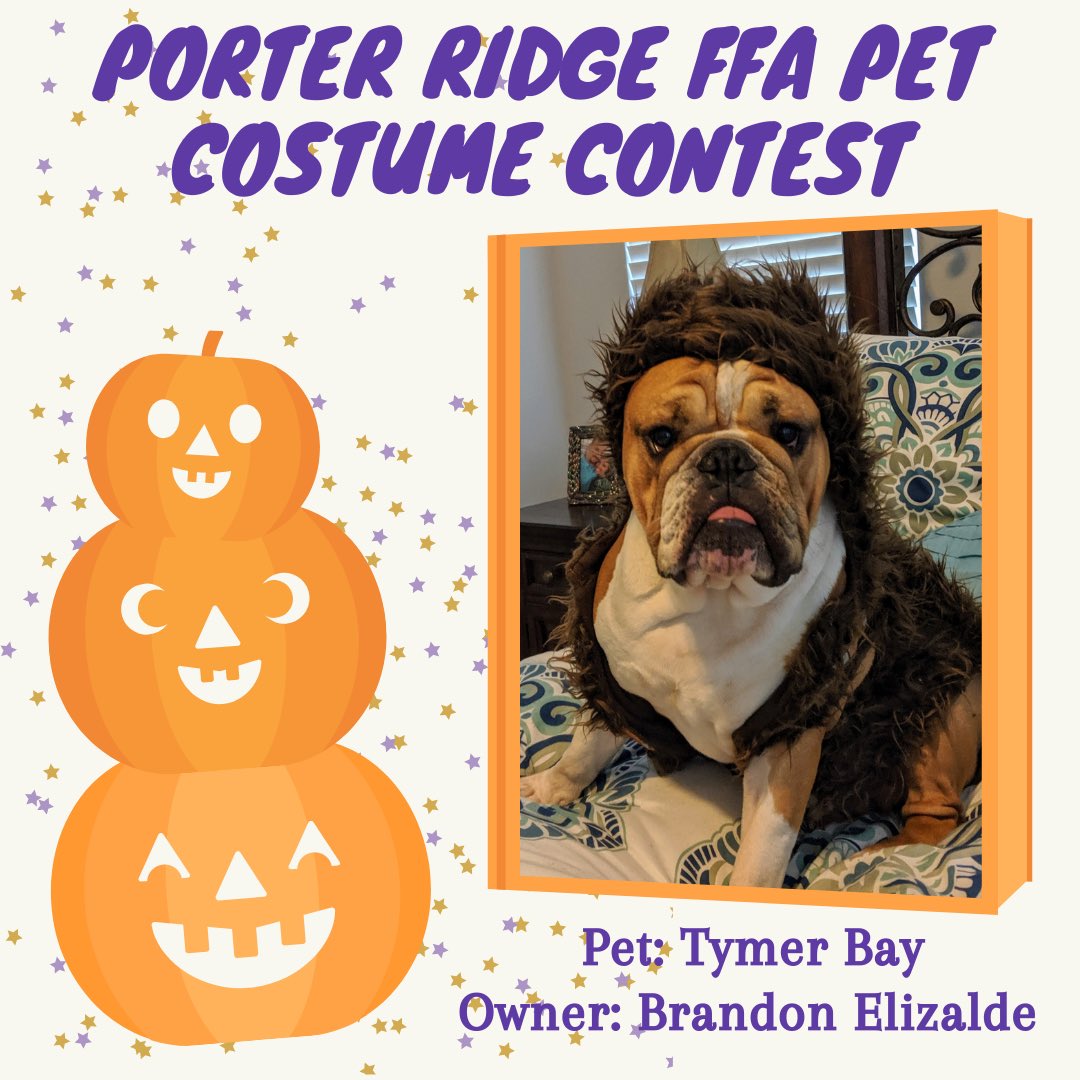 PorterRidgeFFA's tweet photo. Oops! 👻 We forgot to post our last round of pictures yesterday!! What better day than today to share them! Happy Halloween!! 🎃 @PRHSCareer @PorterRidgeHSNC https://t.co/y7y5YULag1