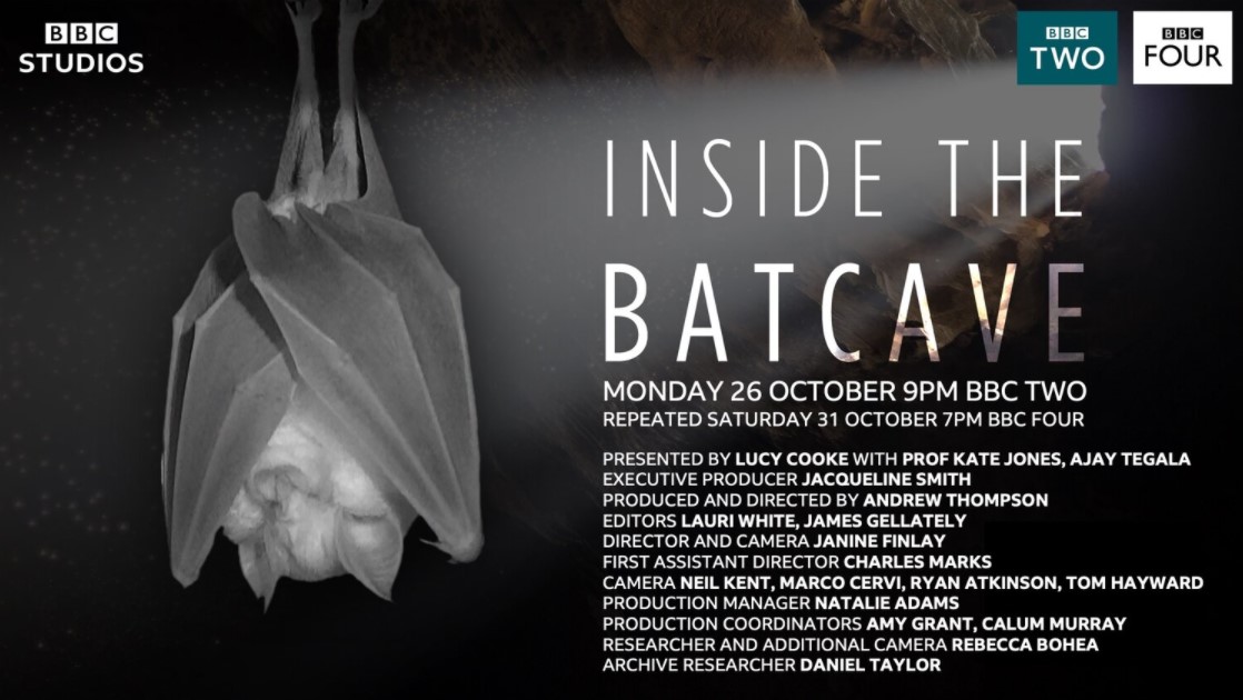 Derbyshire Bat Group tweet media