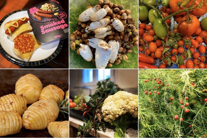 Pop in to our Instagram and take a look!! 💚 @swedishfoodrecipes #plantbased #foraging #vegan #veggies #homegrown #worldveganday #veganuary #whatveganseat