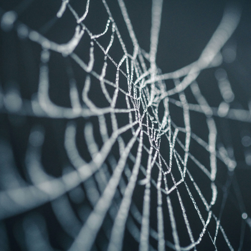 Stay spooky! 🕷️👻🎃

#halloween
#halloween2020
#spooktober