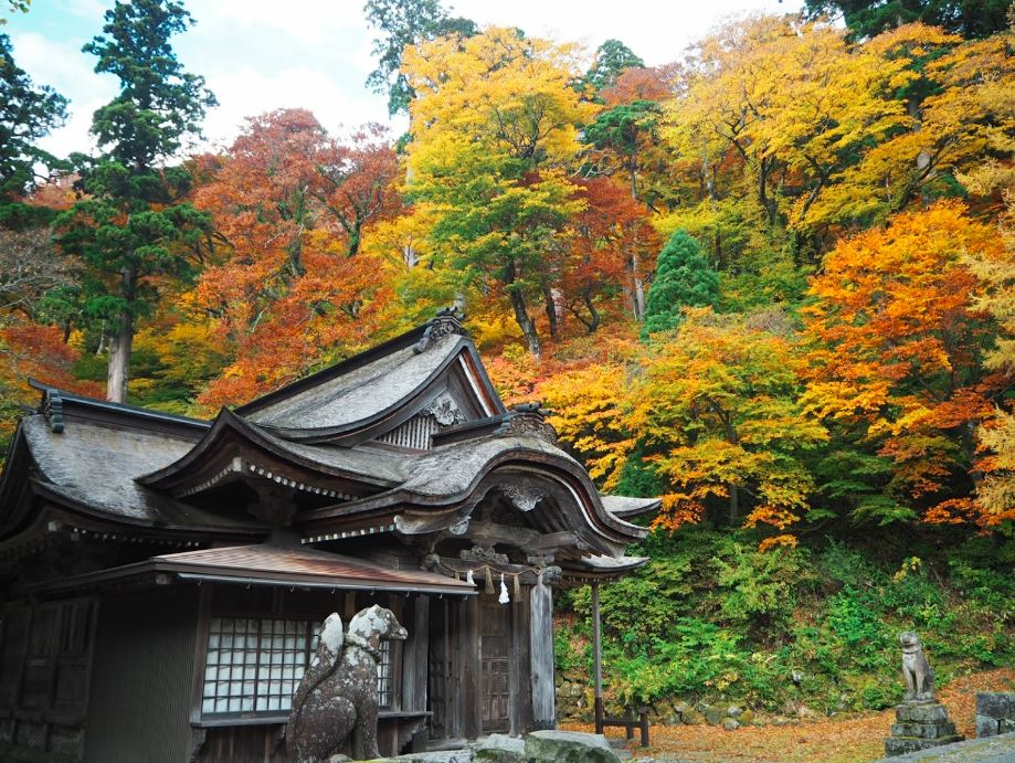 Mount #Daisen, in #Tottori prefecture, is one of top 3 mountains of #Japan. This is the view from Daisenji temple, with #foliage #colors of late #October.
#紅葉 #日本 #japantravel #travelphotography #picoftheday #visitjapan #onigiro #naturephotography #autumn #fall
📸source: web https://t.co/Uwg9C9Jg16