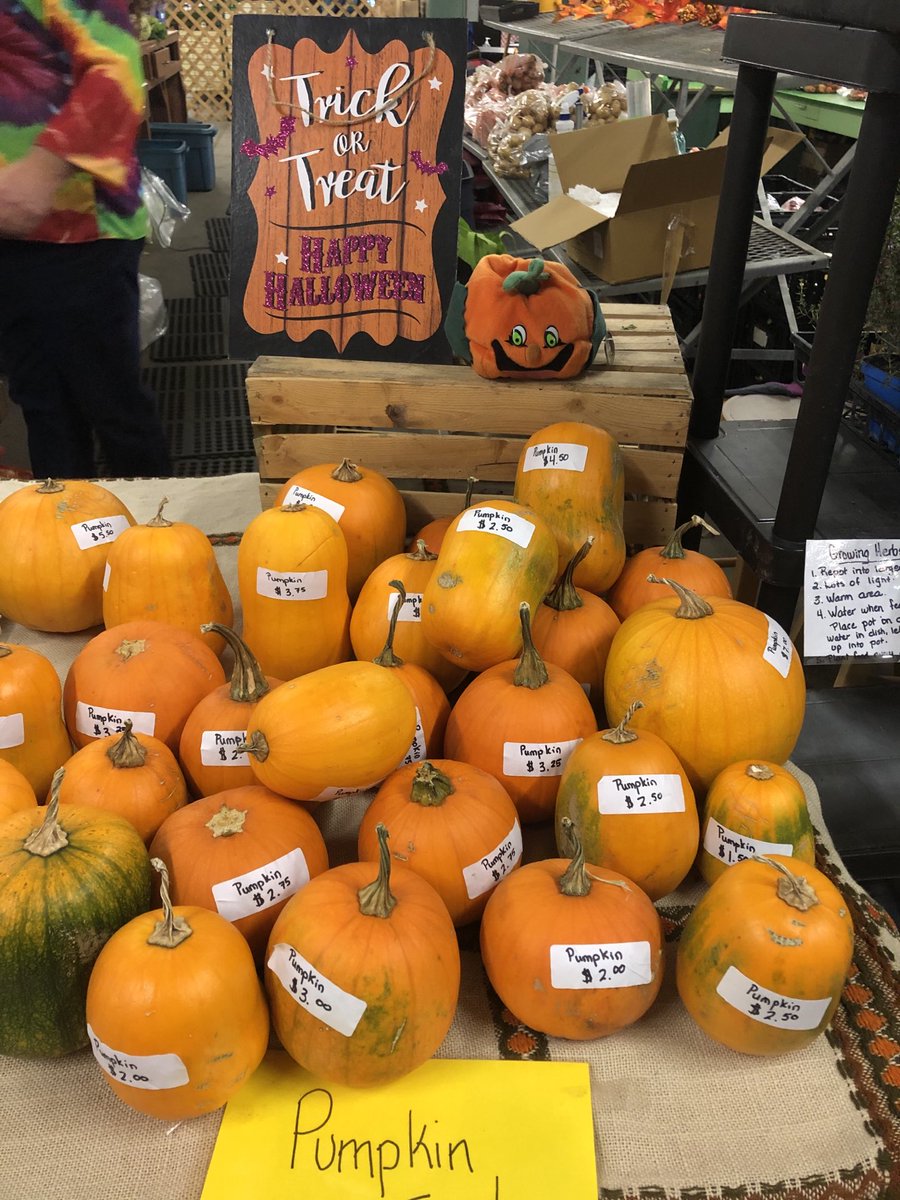 Maplewood Acres tweet media