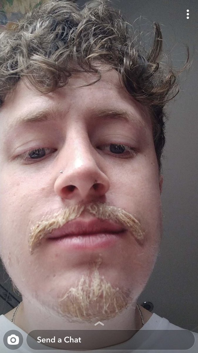 davidprenn tweet media