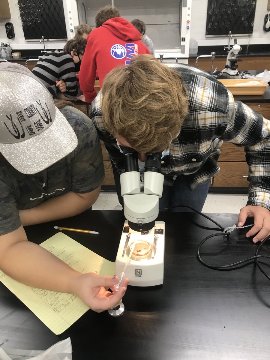 #1DCCS #ChargerPride #Biology Studying aquatic ecosystems. Biology students learned about the complex web of life forms that inhabit our local streams. Life at all scales. Gonna miss you the next two weeks! Be sure to spend some time outside.