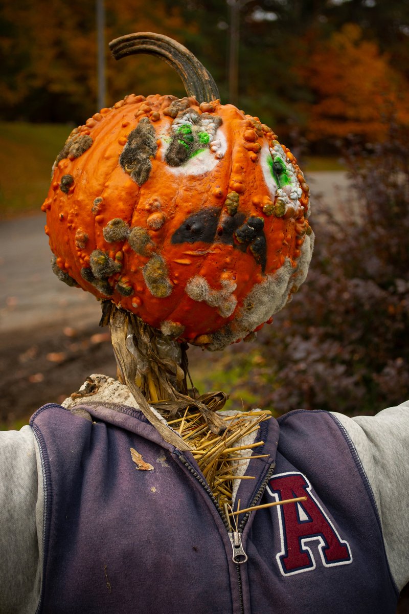 Wishing a safe and happy Halloween to Acadia students, alumni, faculty, staff, and 🎃