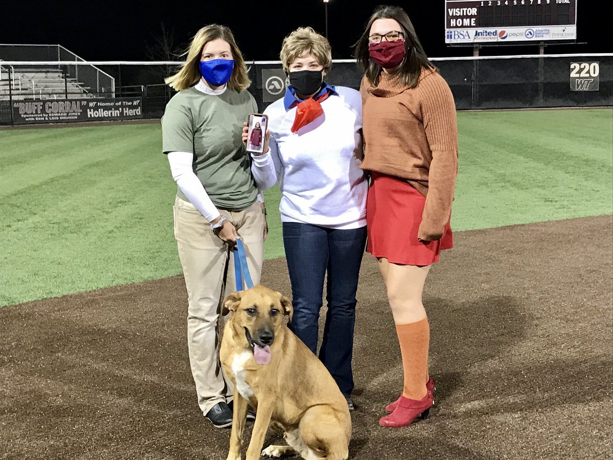 Lady Buff Softball tweet media