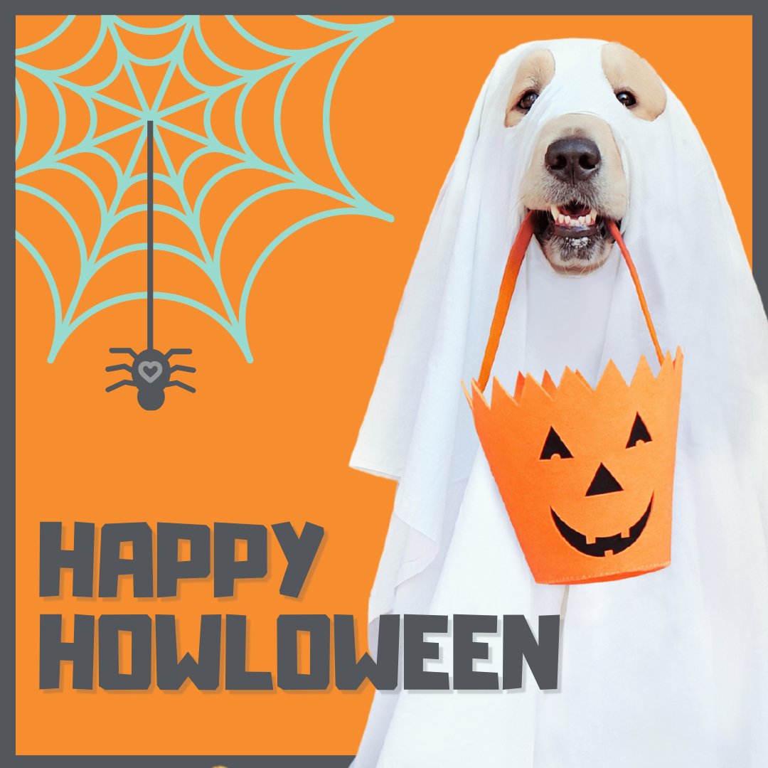 #happyhalloween #dogsincostumes