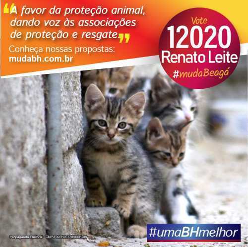 MudaBeaga's tweet photo. Proteção aos animais é +q resgate; envolve cuidado c/a saúde, castração, encaminhamento p/adoção. O controle de zoonoses, saúde pública e conscientização sobre posse responsável deveriam ser atribuições do poder público.
#umabhmelhor #vote12020renatoleite #mudabh #mudabeaga https://t.co/8hnV1ReYpw