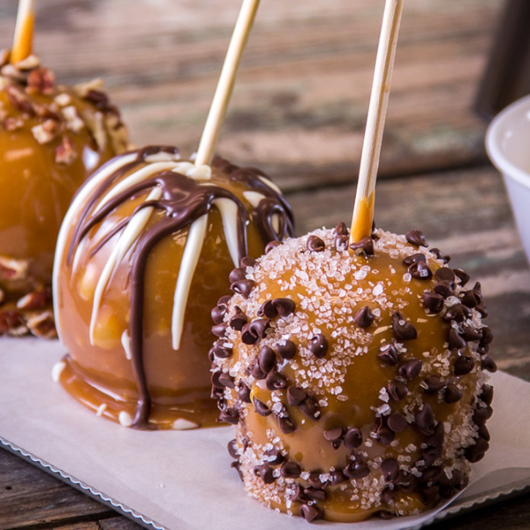 flying_camel's tweet photo. Trick or treat yourself this halloween 🎃👻🕷

For these fun halloween recipes and more, head over to https://t.co/6ZdV7TdGI9 or check out @HamiltonBeachCA.

From left to right ➡️: Halloween Candy Corn Popcorn, Caramel Apples, Marshmallow Pops and Cheesecake Brownies 🤩 https://t.co/bAc15Eh0lK