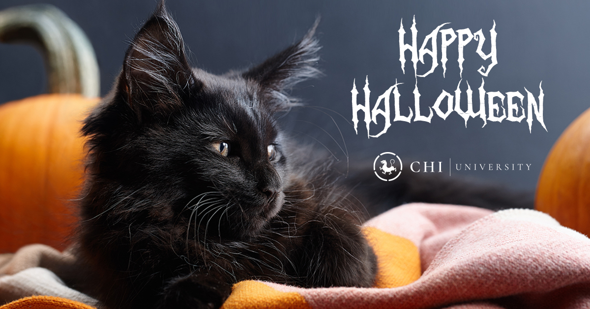 ChiUniversity's tweet photo. We wish you all a safe and ghoulish Halloween from all of us at Chi University! #ChiUniversity #TCVM #Veterinary #Veterinarian #HolisticPet #Acupuncture https://t.co/9mWuDiJKW7