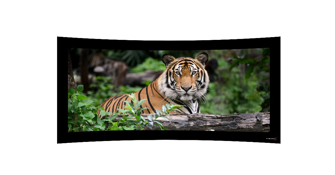 VISION XCFV Curved Dual-Aspect Fixed Vertical Masking Screen Wall Mount 6 Fabric options including Silverstar

Black velvet frame

Learn More: vutec.com/silverstar-pro…

#hometheater #hometheatersystem #hometheaterdesign #HOMETHEATRES #vutec #silverstar #projector #projectorscreen