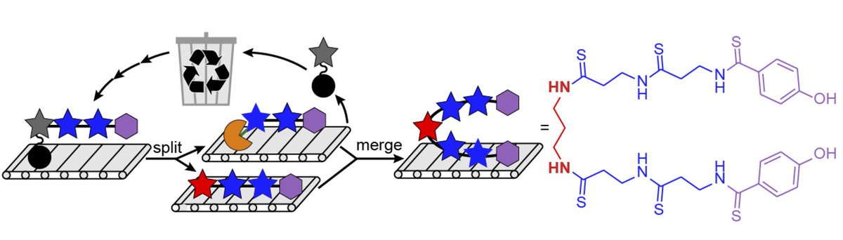 Maria Dell (@mradll) on Twitter photo Very happy and proud to see this online! I enjoyed working on this project a lot, especially with this great team work :) @Hertweck_Lab <a href="/LeibnizHKI/">Leibniz-HKI</a>
<a href="/angew_chem/">Angewandte Chemie</a>: onlinelibrary.wiley.com/doi/10.1002/an… Very happy and proud to see this online! I enjoyed working on this project a lot, especially with this great team work :) @Hertweck_Lab <a href="/LeibnizHKI/">Leibniz-HKI</a>
<a href="/angew_chem/">Angewandte Chemie</a>: onlinelibrary.wiley.com/doi/10.1002/an…