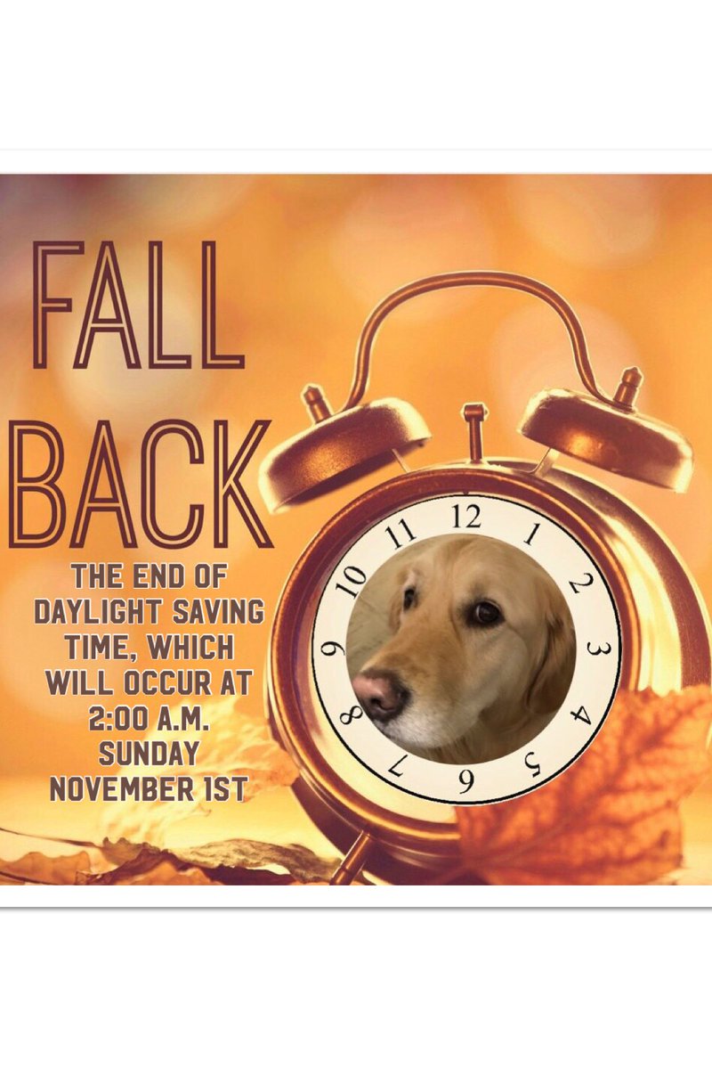 katiecomfortdog's tweet photo. @K9ComfortDogs Good morning, don’t forget to turn back your clocks.
Have a safe and Happy Halloween.
I’m excited to see the beautiful blue moon tonight. have a great weekend ❤️🐾❤️ #DaylightSavingsTime #goldenlove #comfortdog #comforttime #comfortlife #SaturdayVibes https://t.co/HjpuEzkOrl