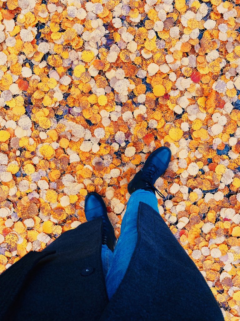 Irma 🚀✨ tweet media