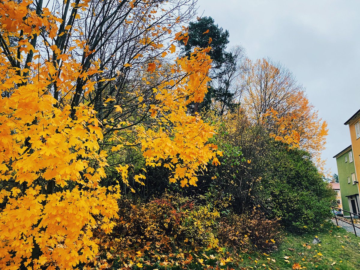 Irma 🚀✨ tweet media