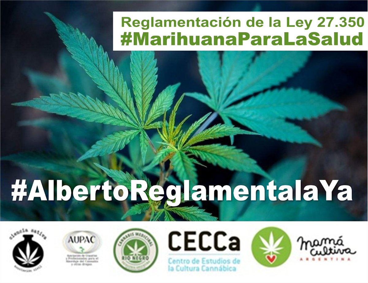 #albertoreglamentalaya