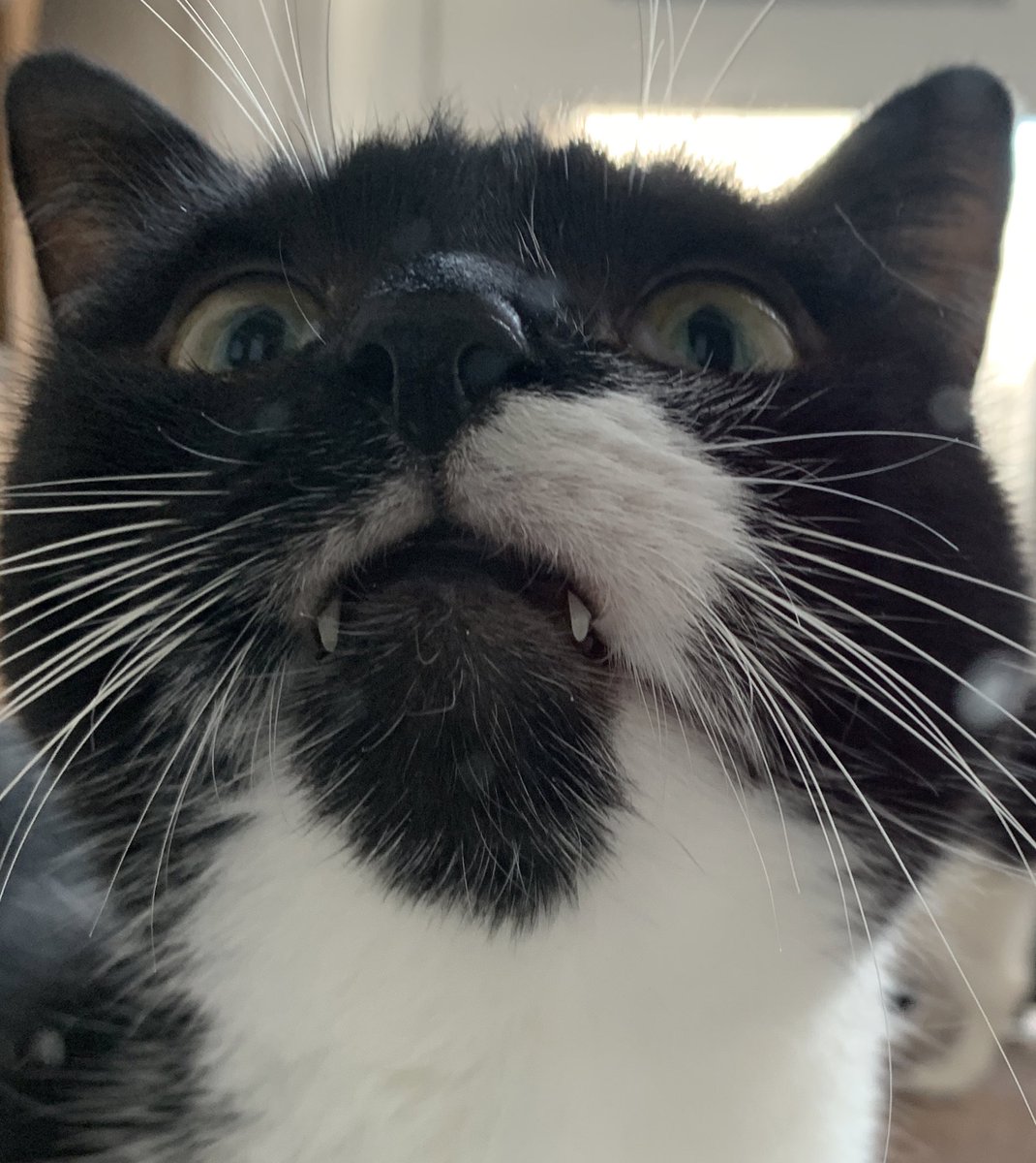 Happy Halloween love from DCI Jane Tennison x