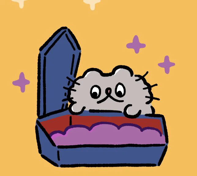 ?
#ねこのぶーちゃん 