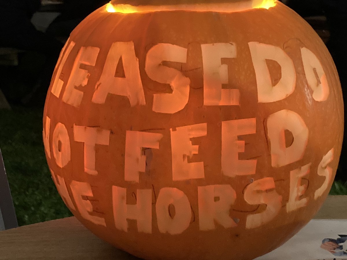 This is BELL EQUINE's impressive pumpkin artwork with an important message #nofatponiesplease Avoid laminitis &amp; Happy Halloween!