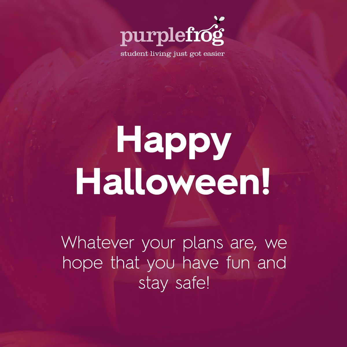 purplefrogprop's tweet photo. 👻👻Happy Halloween! 👻👻

Whatever your plans are, we hope that you have fun and stay safe!

#halloween #halloween2020 https://t.co/c0FoJHb18V