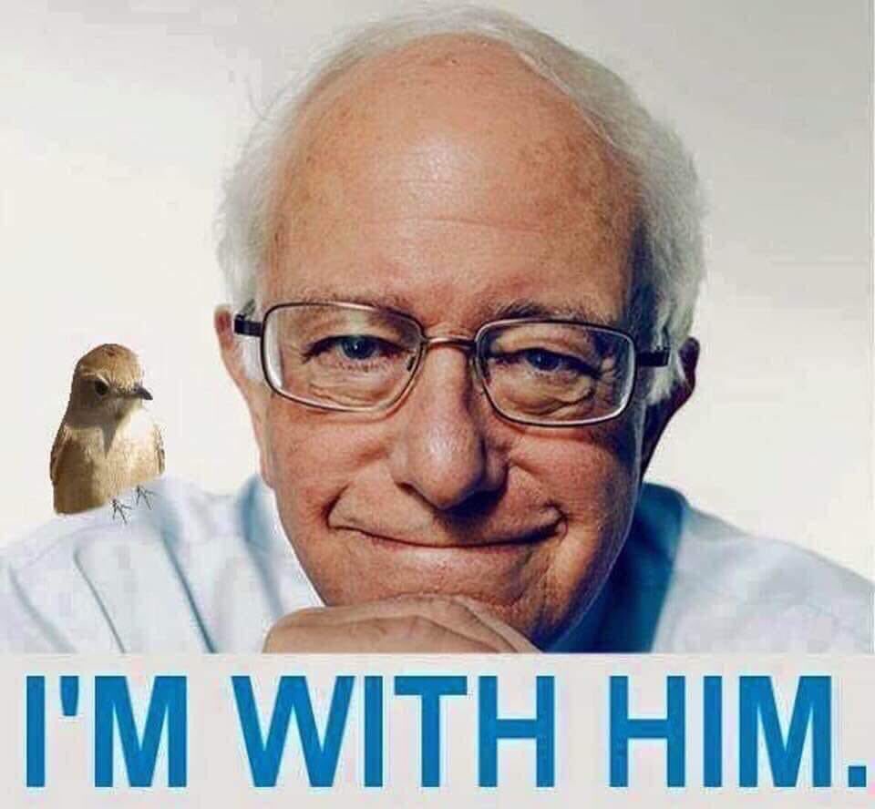 ZTan14377's tweet photo. I miss you Bernie
#AlwaysWithHim https://t.co/eXWI1sB8g7