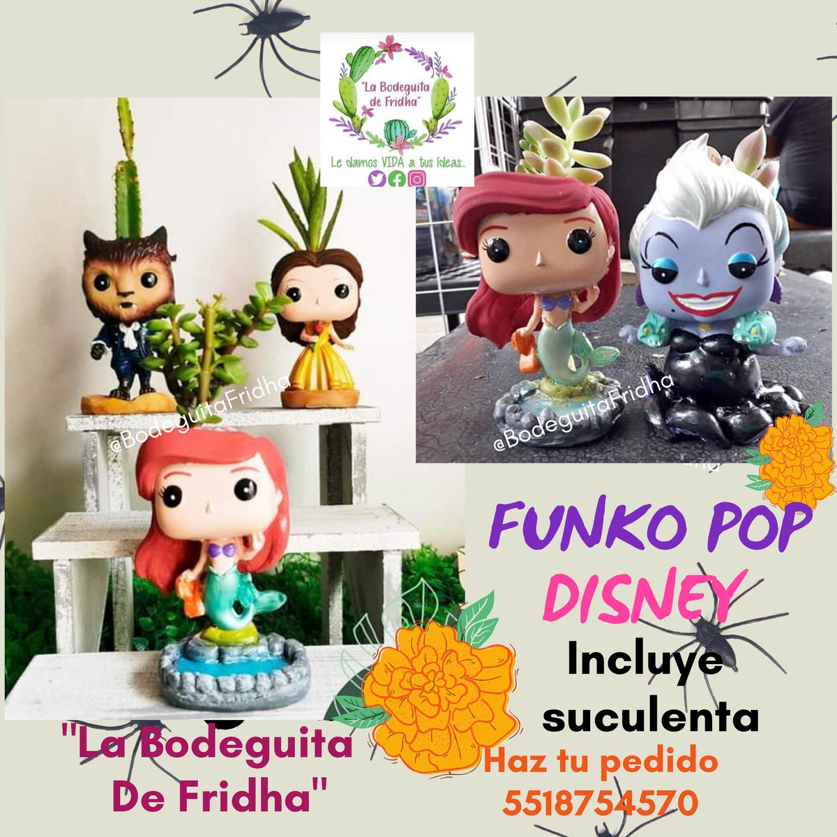 BodeguitaFridha's tweet photo. #FunkoPop 👩🏻‍🎤👨🏻‍🎤
#Calaverita 🎃🖤
Woww tenemos los consentidos de los pekes. Nuestros "FUNKO POP" con bellísimas suculentas. Pregunta por tu personaje favorito y llena tu espacio de diversión y vida
Cada Funko Pop incluye:
🌵 Suculenta
🍫 Deliciosa sorpresa
🎁 Bolsita de regalo https://t.co/J0k4IrdsLR
