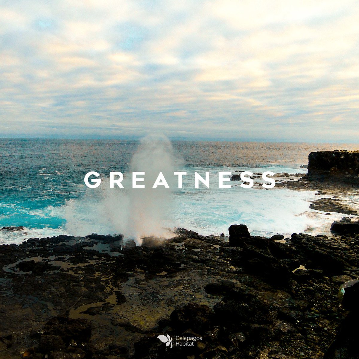 The sea mainly symbolizes your calm mind, fluctuating emotions and internal strength and it is also a place where one can easily be lost do to it´s greatness.
.
.
#happyhalloween #ocean #galapagos #ecuador #ecolodge #climate #ecotravel #ecotraveller #travelling #southamerica