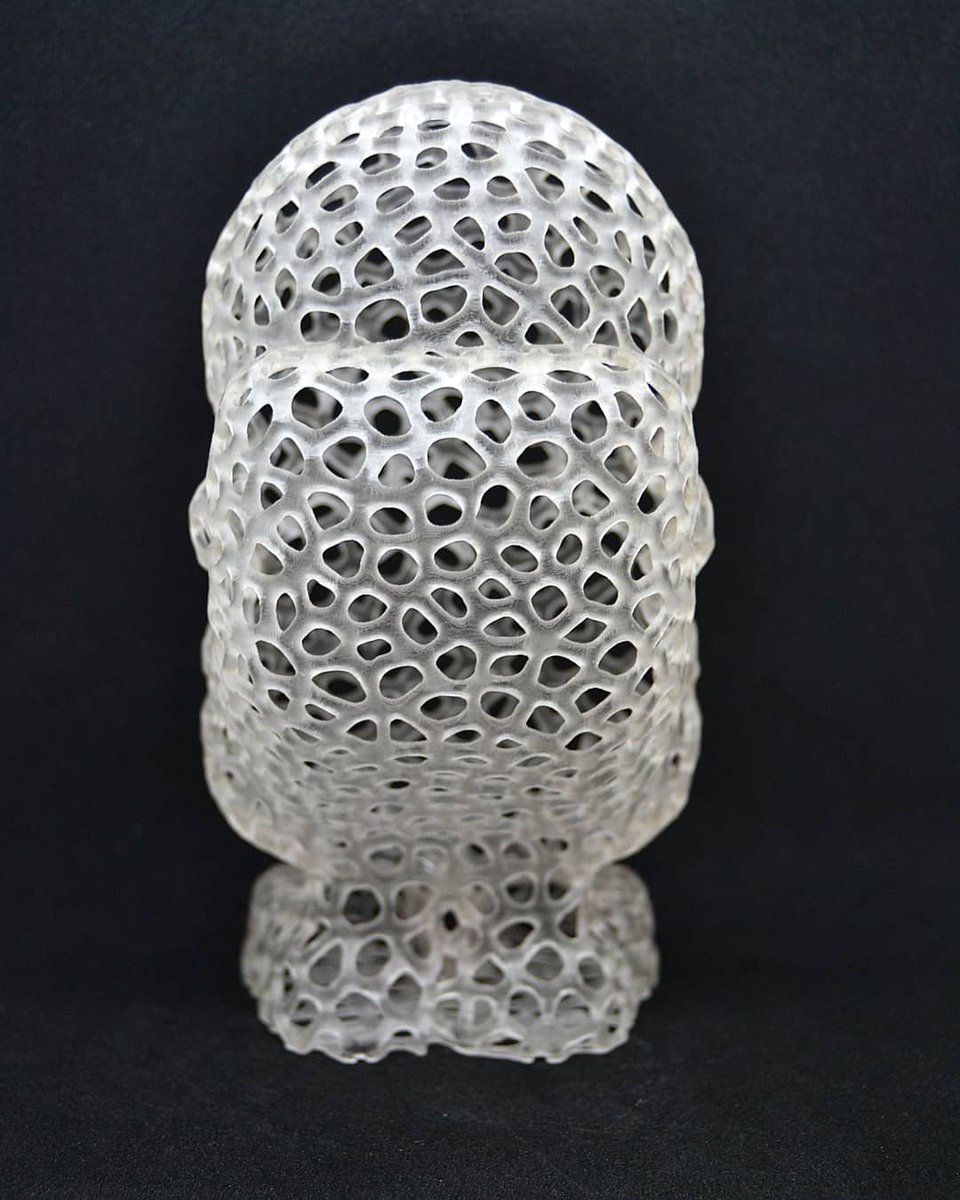 de3dprintman's tweet photo. I made a Voronoi version of @MatterHackers @Phil_A_Ment to bring this cool benchmark model to the next level. This one is resized to 200% and printed on the industrial-grade @atum3D DLP Station in @BASF #Ultracur3d ST45 and finished perfectly fine. #Matterhackers #3DPhil #atum3D https://t.co/R8beJdawSf