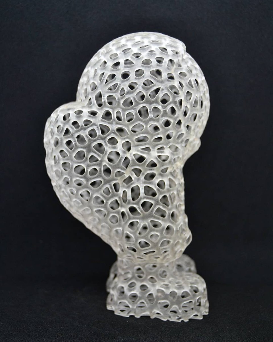 de3dprintman's tweet photo. I made a Voronoi version of @MatterHackers @Phil_A_Ment to bring this cool benchmark model to the next level. This one is resized to 200% and printed on the industrial-grade @atum3D DLP Station in @BASF #Ultracur3d ST45 and finished perfectly fine. #Matterhackers #3DPhil #atum3D https://t.co/R8beJdawSf