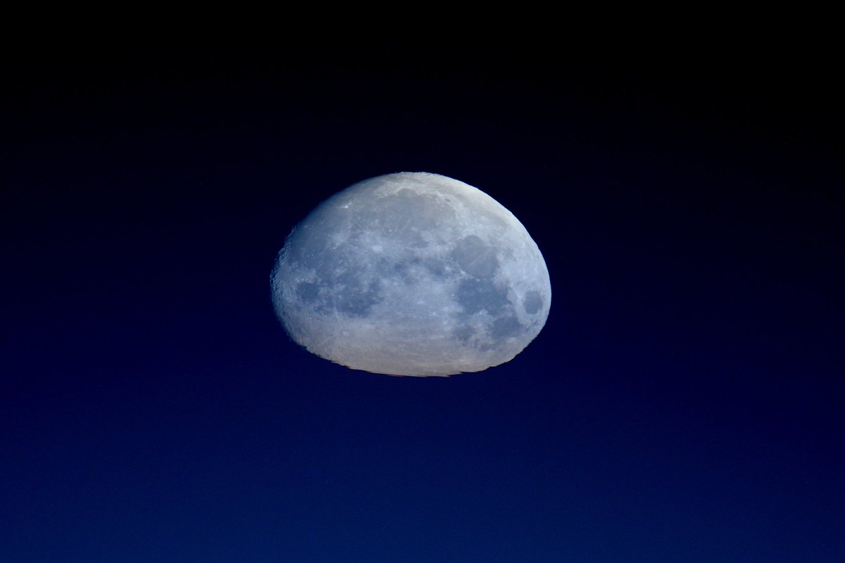 Tonight is the second full moon in October - making it a rare #BlueMoon for a spooky #Halloween2020