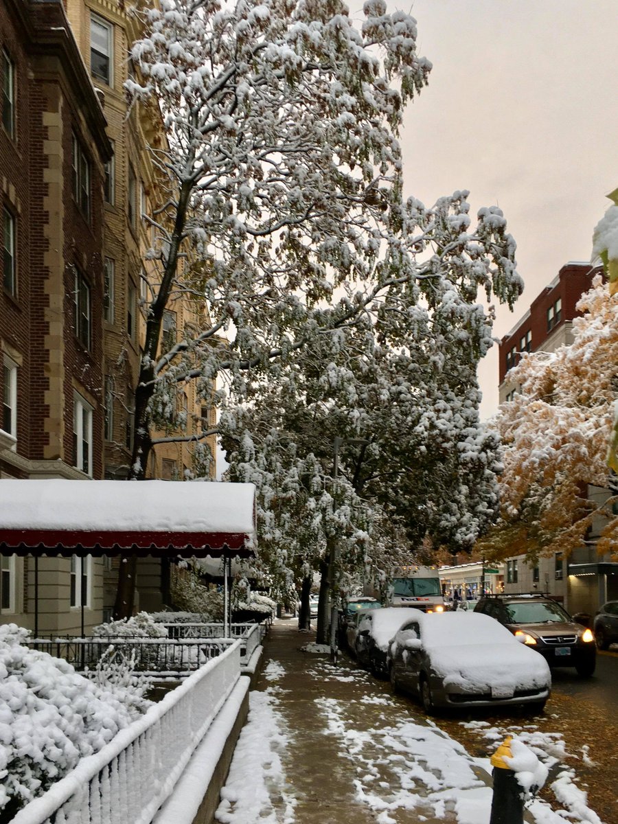 m_lin0's tweet image. Thought I'd join everyone in sharing fall photos this weekend but winter beat me to it. #snow #snowinoctober #Halloween2020