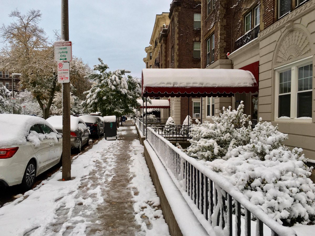 m_lin0's tweet image. Thought I'd join everyone in sharing fall photos this weekend but winter beat me to it. #snow #snowinoctober #Halloween2020