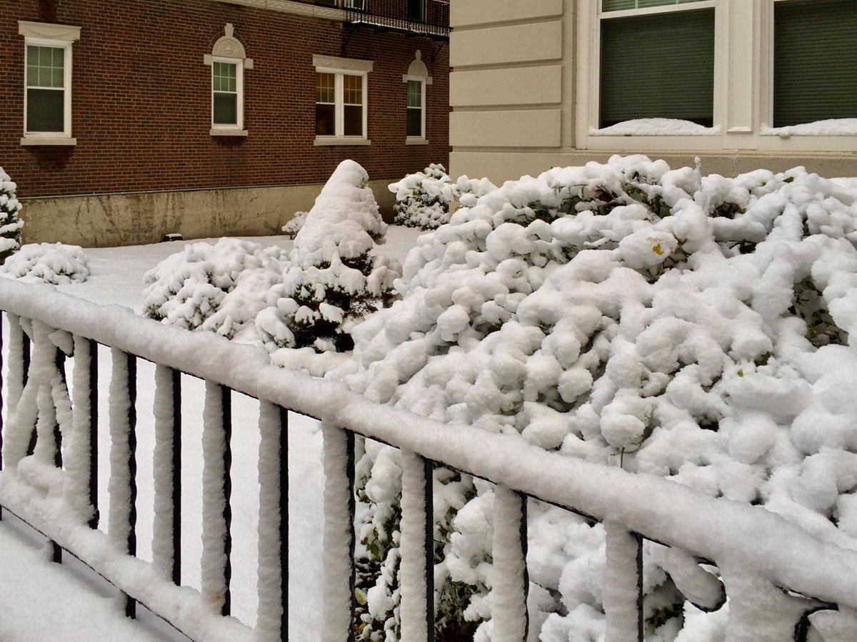 m_lin0's tweet image. Thought I'd join everyone in sharing fall photos this weekend but winter beat me to it. #snow #snowinoctober #Halloween2020