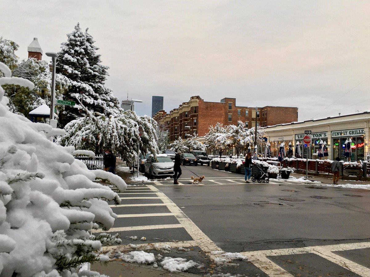 m_lin0's tweet image. Thought I'd join everyone in sharing fall photos this weekend but winter beat me to it. #snow #snowinoctober #Halloween2020