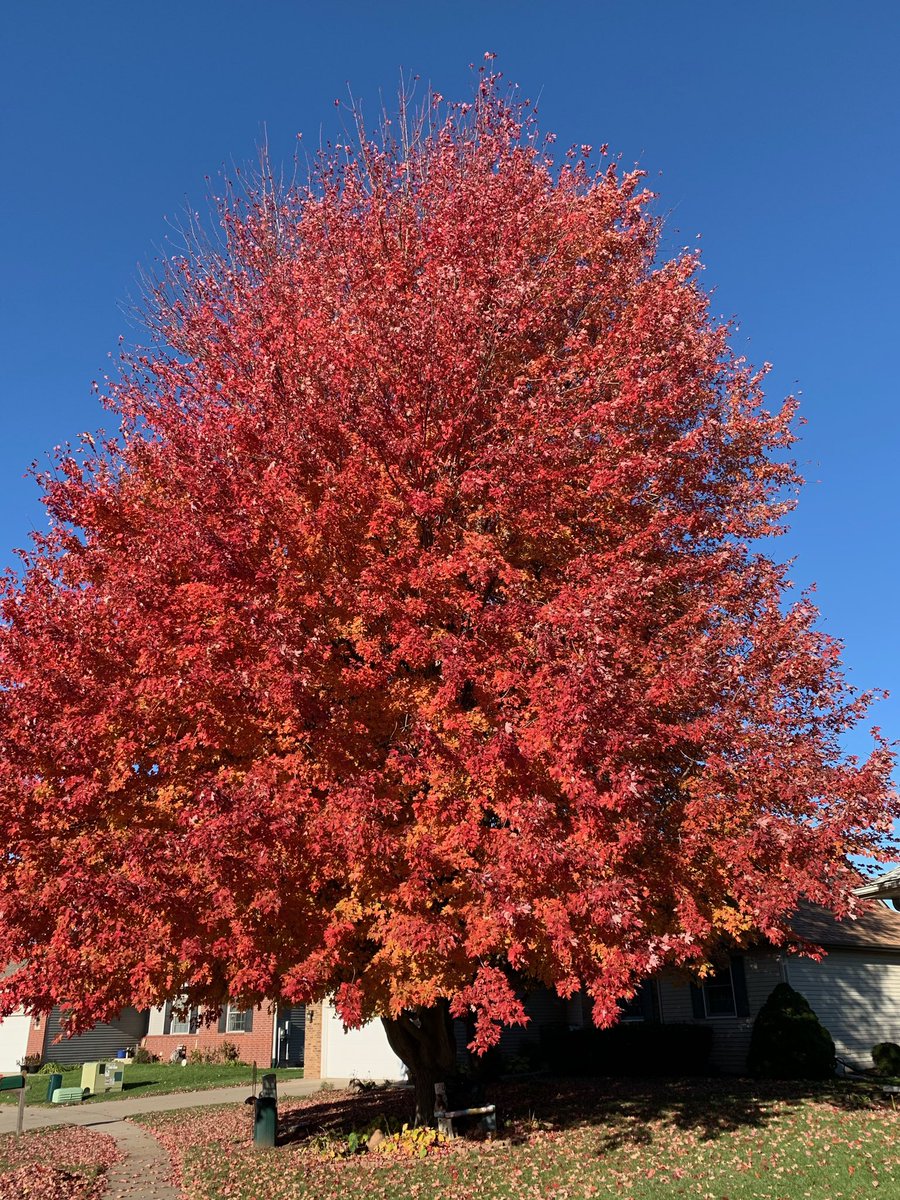 Dan (@pastalover731) on Twitter photo “Nature’s Canvas” a late Friday shoutout :( to some really great people <a href="/sharbell/">Women rule -Democracy never Oligarchy</a> <a href="/mmmexperimental/">(((mmmexperimental))❌💙💙💙 🖖👍💖🧡💞She/Her</a> <a href="/blaha_b/">Liz Blaha #DemForce #TheResistance</a> @SeeUinTheFall <a href="/LunaA2728/">💞 LunaRULES💞</a> <a href="/Bolshoibabushka/">Tolstoy</a> @FJ_B_ @jkcosmos <a href="/ForgioneFrank/">Frank Forgione</a> <a href="/Steviedust/">Steviedust. ☮️</a> <a href="/PamJack11376851/">Pam Jackson</a> <a href="/carlagkron/">Carla</a> <a href="/FruttiDMare/">Frutti Di Mare</a> “Nature’s Canvas” a late Friday shoutout :( to some really great people <a href="/sharbell/">Women rule -Democracy never Oligarchy</a> <a href="/mmmexperimental/">(((mmmexperimental))❌💙💙💙 🖖👍💖🧡💞She/Her</a> <a href="/blaha_b/">Liz Blaha #DemForce #TheResistance</a> @SeeUinTheFall <a href="/LunaA2728/">💞 LunaRULES💞</a> <a href="/Bolshoibabushka/">Tolstoy</a> @FJ_B_ @jkcosmos <a href="/ForgioneFrank/">Frank Forgione</a> <a href="/Steviedust/">Steviedust. ☮️</a> <a href="/PamJack11376851/">Pam Jackson</a> <a href="/carlagkron/">Carla</a> <a href="/FruttiDMare/">Frutti Di Mare</a>