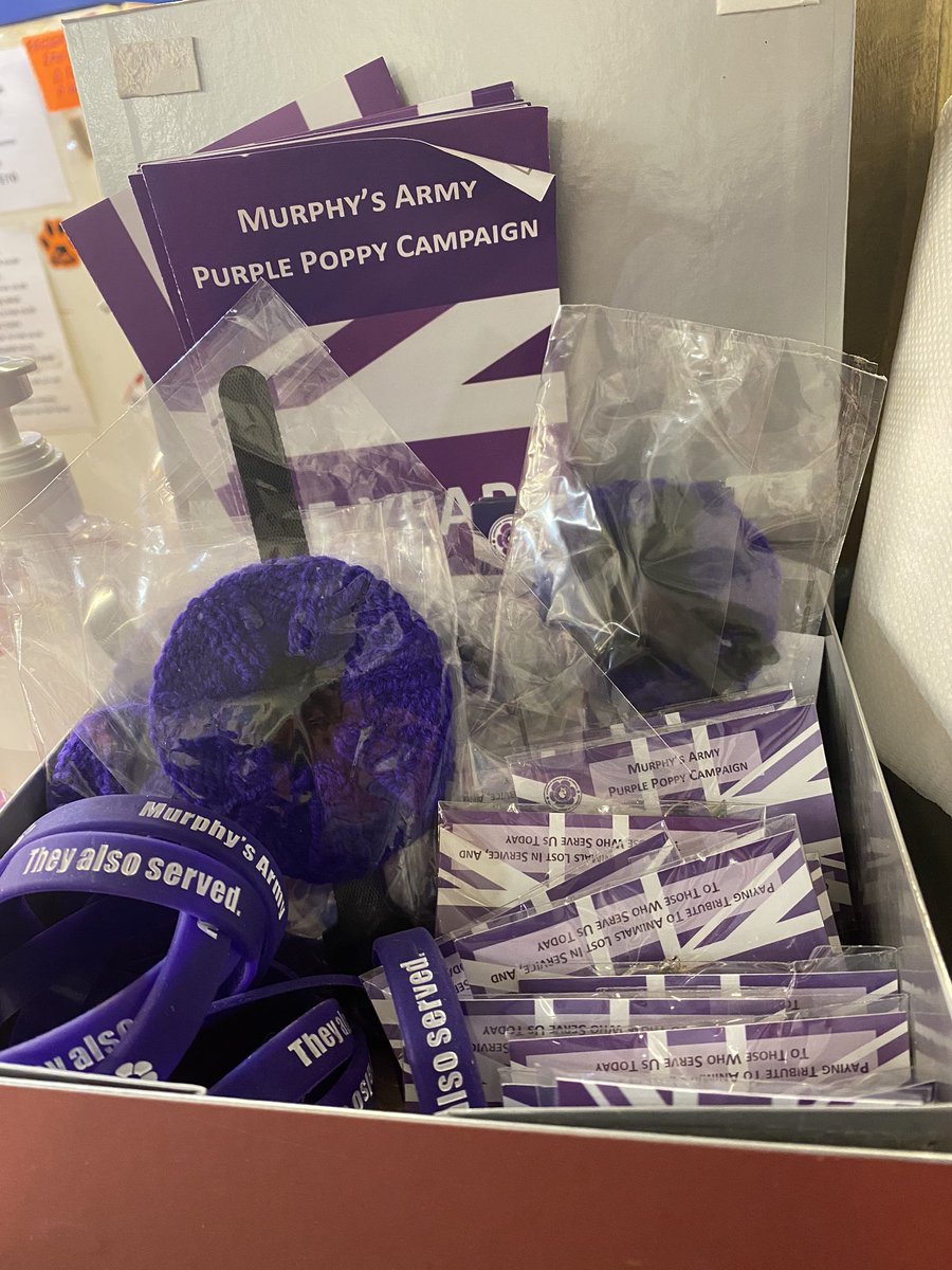 Filled up with purple Poppy’s today for Murphy’s army