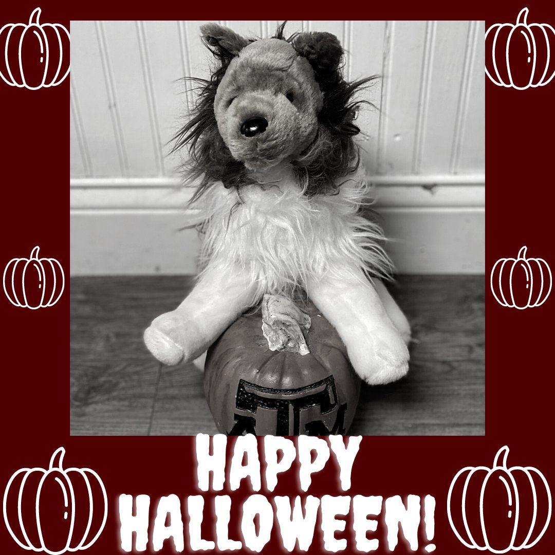 holicks's tweet photo. Happy Halloween, Aggies! 
#holicksboots #happyhalloween #spooky https://t.co/OKzsI9pCDo