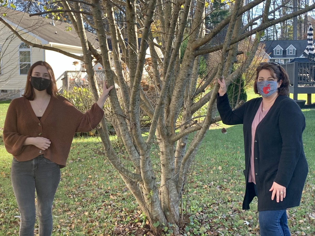 HCVPS's tweet photo. Kudos to HCVPS Creative Writing student Ashlyn Pauwels for her winning entry in the Thomas Wolfe writing competition! She has been honing those writing skills with her awesome HCVPS teacher, @MrsWaycaster. Way to go! https://t.co/SAy88gyvrw