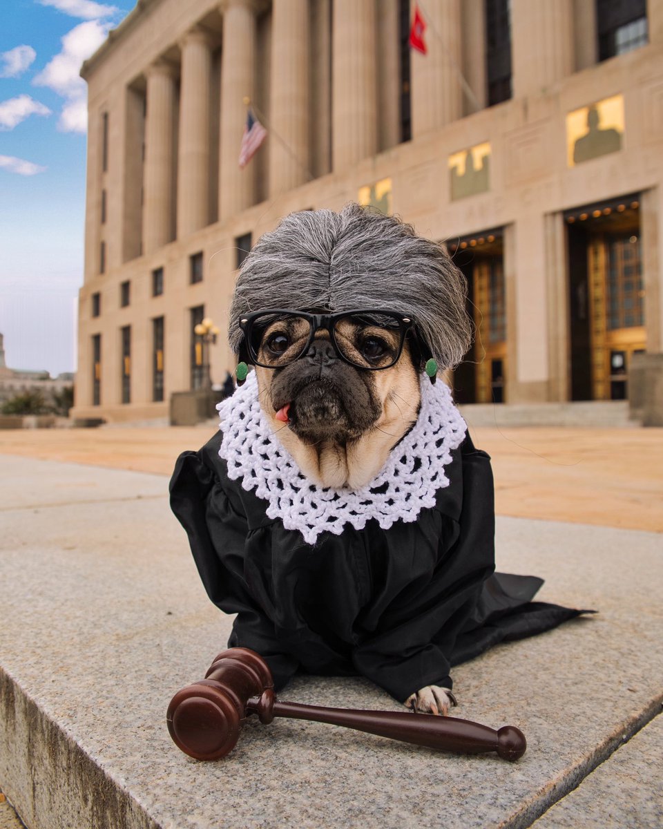 Ruth Bader Ginspug

A tribute to a legend - Ruth Bader Ginsburg, 1933-2020